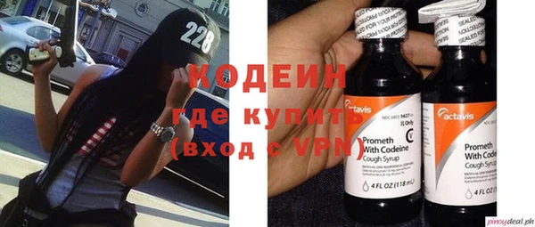 прущий лед Алзамай